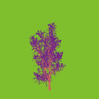 greenshift tree