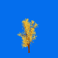 greenshift tree