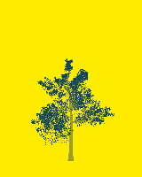 greenshift tree