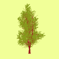 greenshift tree