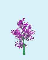 greenshift tree