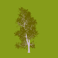 greenshift tree