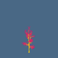 greenshift tree