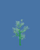 greenshift tree
