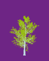 greenshift tree