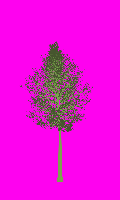 greenshift tree