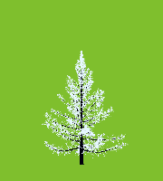 greenshift tree