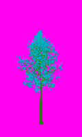 greenshift tree