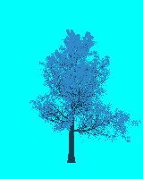 greenshift tree