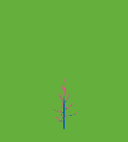 greenshift tree