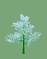 greenshift tree
