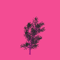 greenshift tree