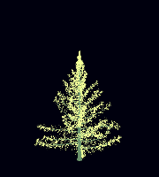 greenshift tree