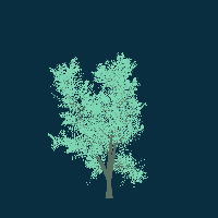 greenshift tree