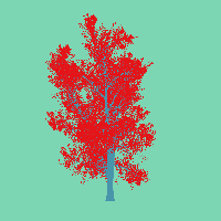 greenshift tree