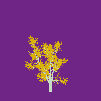 greenshift tree