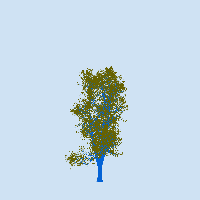 greenshift tree