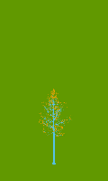 greenshift tree