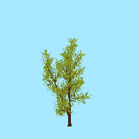 greenshift tree