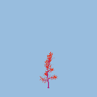 greenshift tree