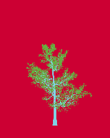 greenshift tree