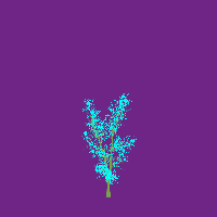 greenshift tree