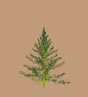 greenshift tree