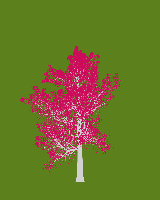 greenshift tree