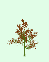 greenshift tree