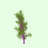 greenshift tree