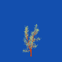 greenshift tree