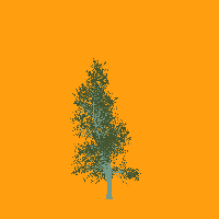 greenshift tree