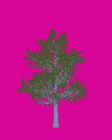 greenshift tree
