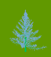 greenshift tree