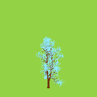 greenshift tree