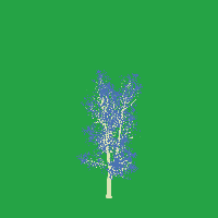 greenshift tree