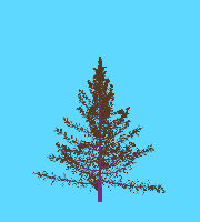 greenshift tree