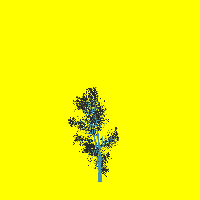 greenshift tree