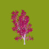 greenshift tree