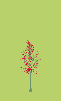 greenshift tree