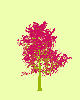 greenshift tree
