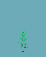 greenshift tree