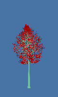 greenshift tree