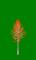 greenshift tree