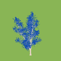 greenshift tree