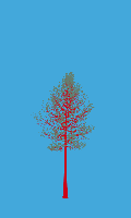 greenshift tree