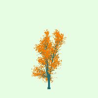 greenshift tree