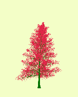 greenshift tree