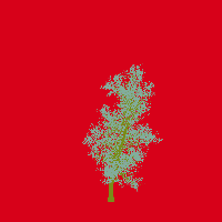 greenshift tree