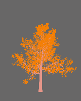 greenshift tree